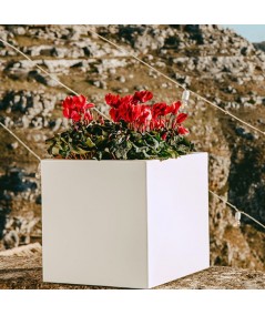 VAso Cube Monacis multicolore
